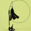 Suction Cup Cat Self-Groomer Brush — detail view 4