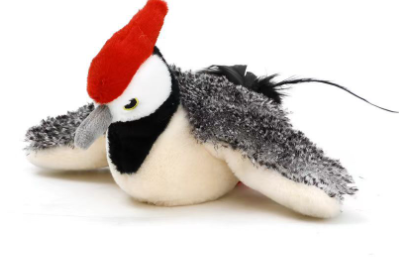Electric Chirping Bird Cat Toy — bird designs