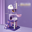 https://static.hzpdex.com/product/20250710/381b0158-5d0a-4e9a-9f1e-bb7944e8ea71.png