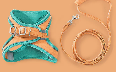 Cat Vest Harness & Leash Set — detail view