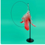 Suction Cup Cat Self-Groomer Brush — detail view 2
