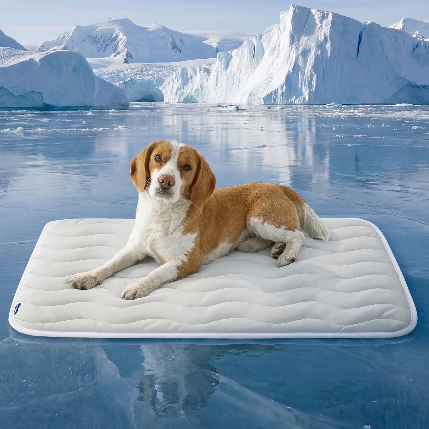Self-Cooling Pet Mat — detail view 2