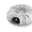 https://static.hzpdex.com/product/20241107/f38fcb4b-f623-407e-895c-5d717411383b.png