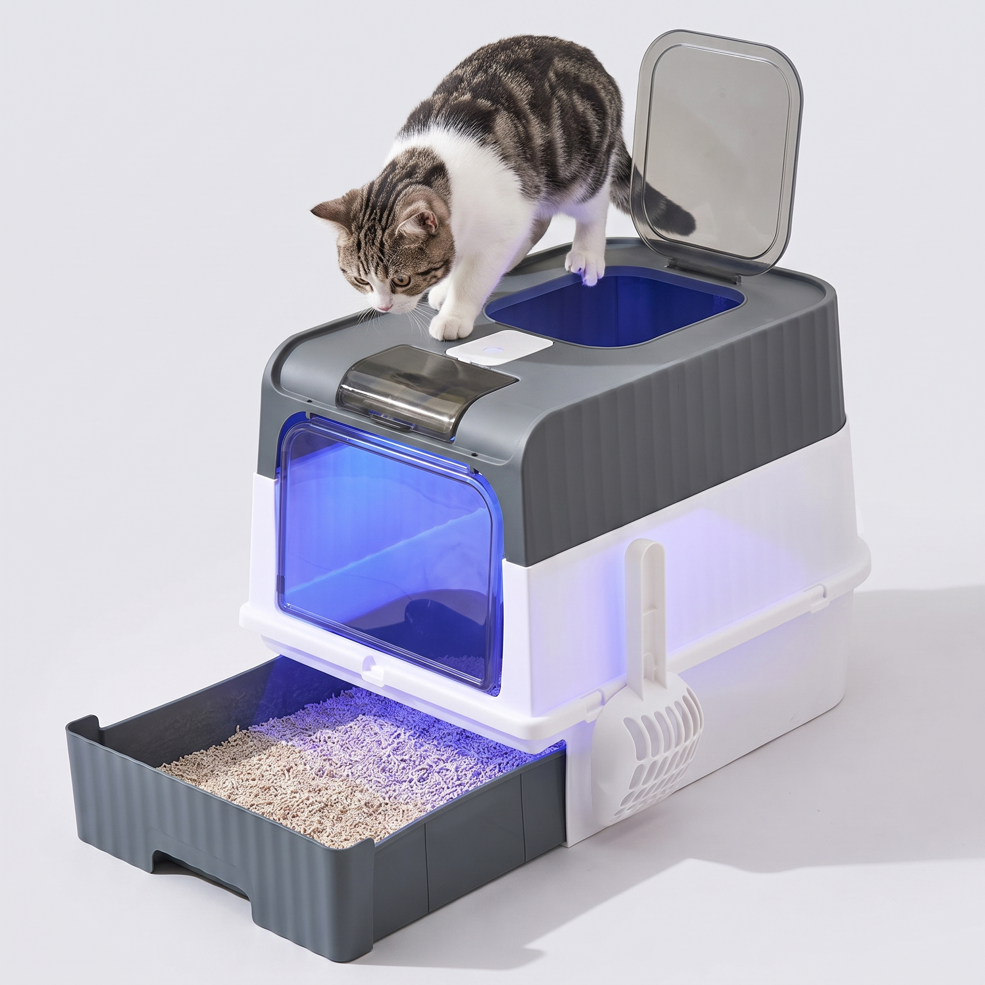 Top-Entry Litter Box with a cat