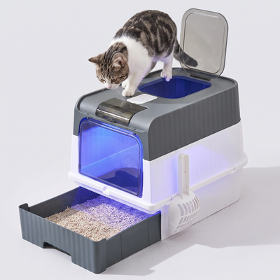 Top-Entry Litter Box with a cat