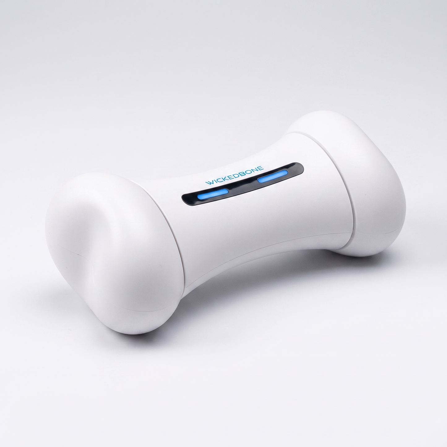 Smart Interactive Dog Toy