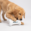 Dog playing with Smart Interactive Toy
