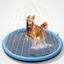 Dog playing on the Sprinkler Mat