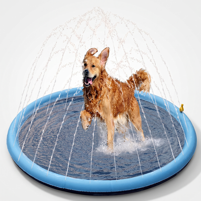 Dog playing on the Sprinkler Mat