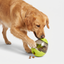 Dog using IQ Treat Dispenser