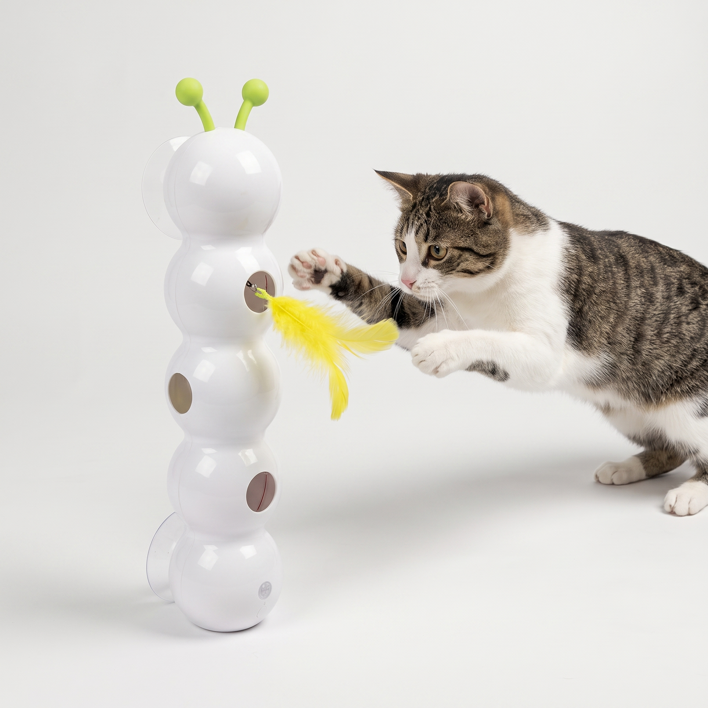 Cat playing with Automatic Teaser Toy