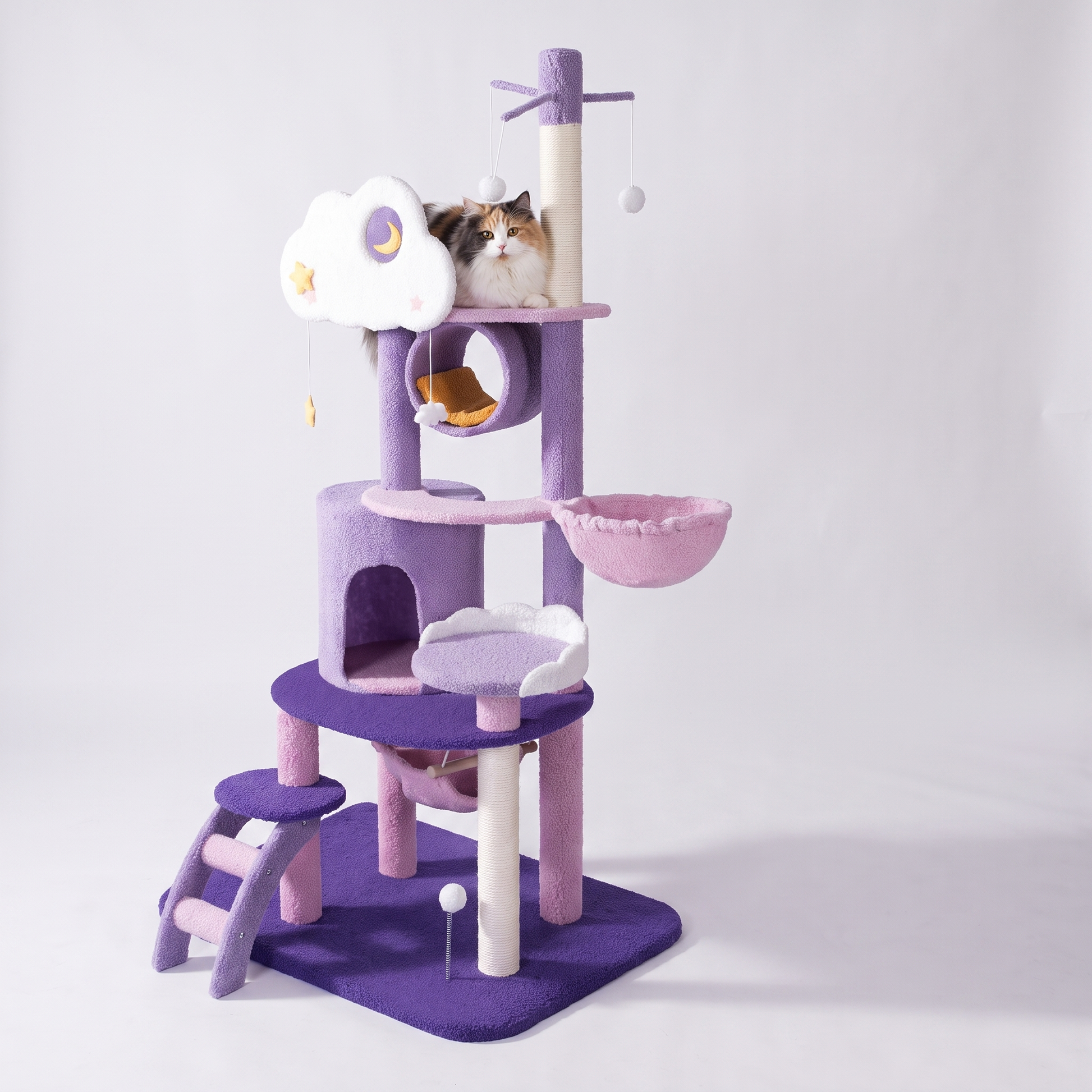 Cat on the Climbing Tree