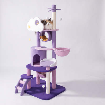 Cat on the Climbing Tree