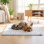 Dog and cat relaxing on a cooling mat