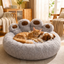 Cat and dog sleeping in a round plush bed