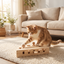 Cat playing with a whack-a-mole scratcher toy