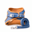 Blue cat vest harness and leash set