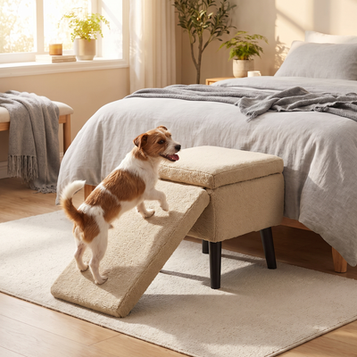 Small dog walking up the foldable dog ramp to a bed