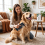 Brushing a dog with an ergonomic grooming brush
